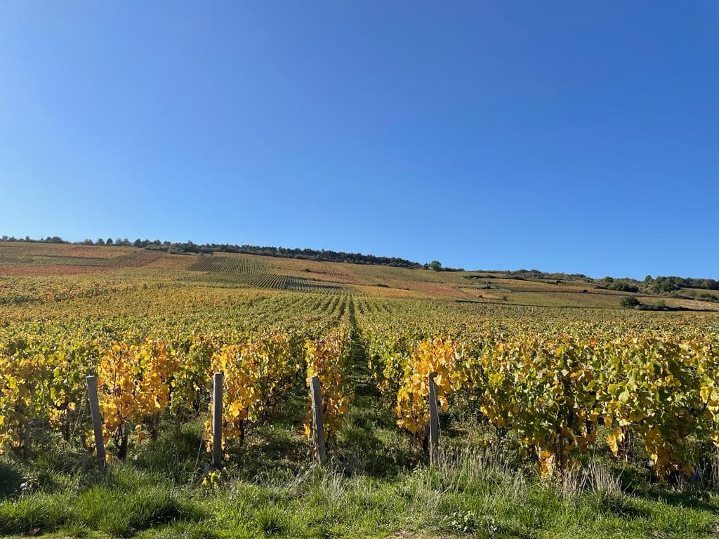 Investir en Bourgogne-Franche-Comté : les points clés