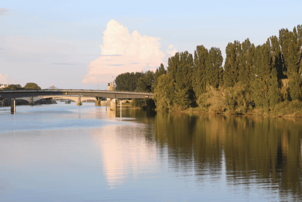 Rivière La Saône
