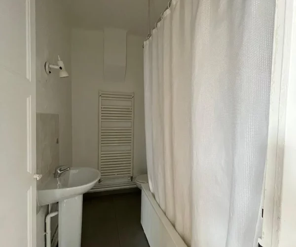 salle de bain avec baignoire et rideau