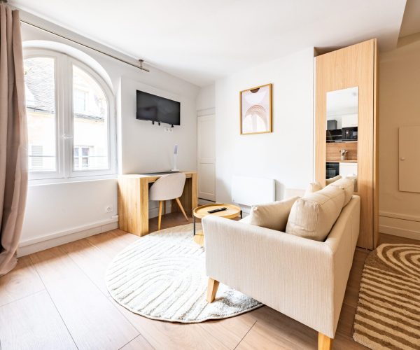 appart rue Berbisey-6