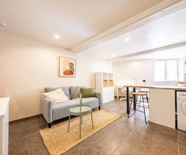 appart rue Diderot-9